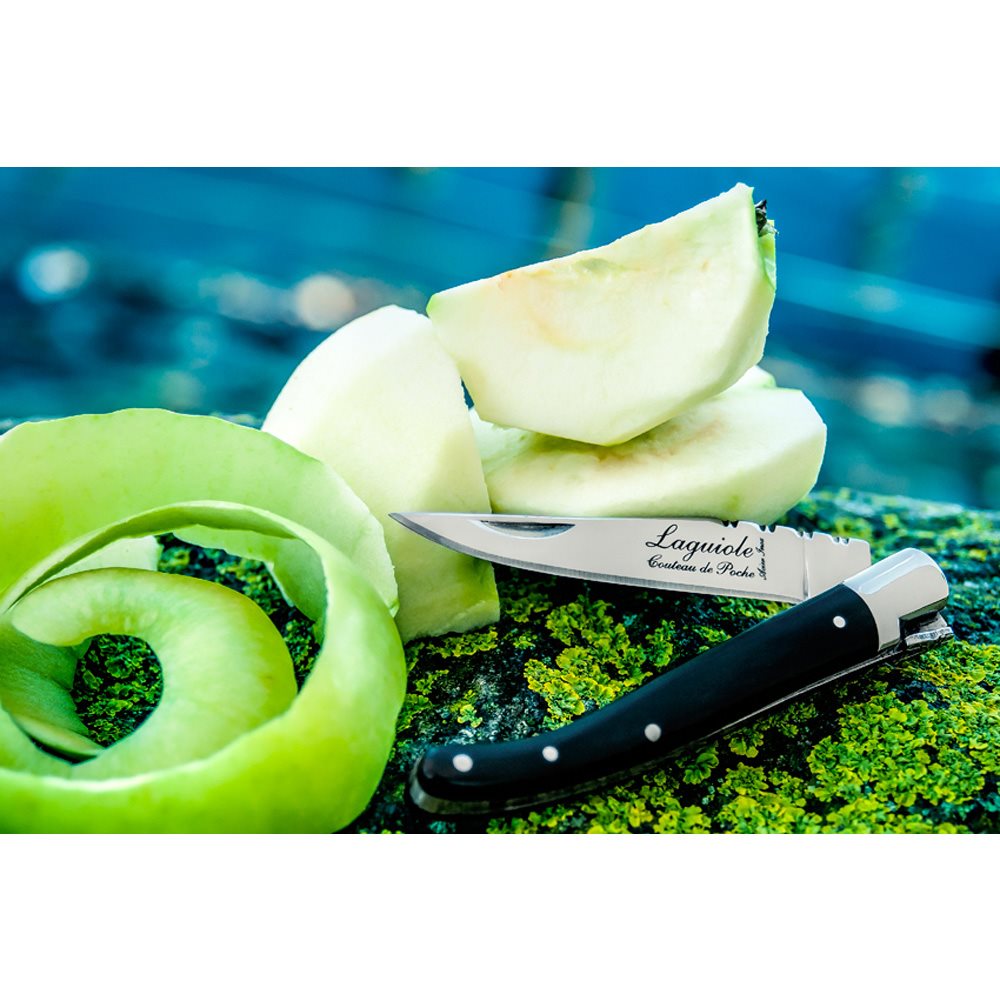 Style de Vie Laguiole zakmes Vuurbak.