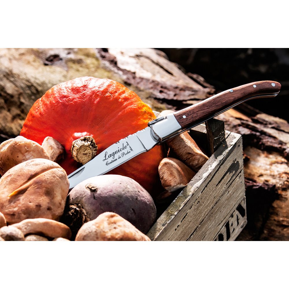 Style de Vie Laguiole zakmes Vuurbak.